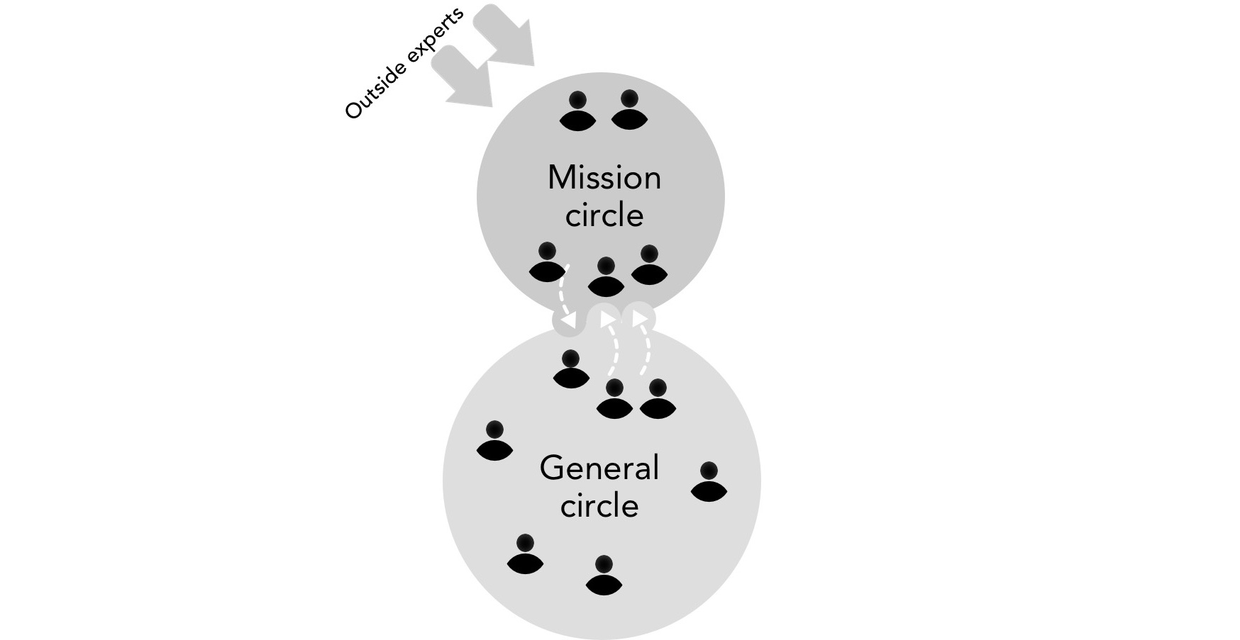 Early life of a young organization starting with one work group II