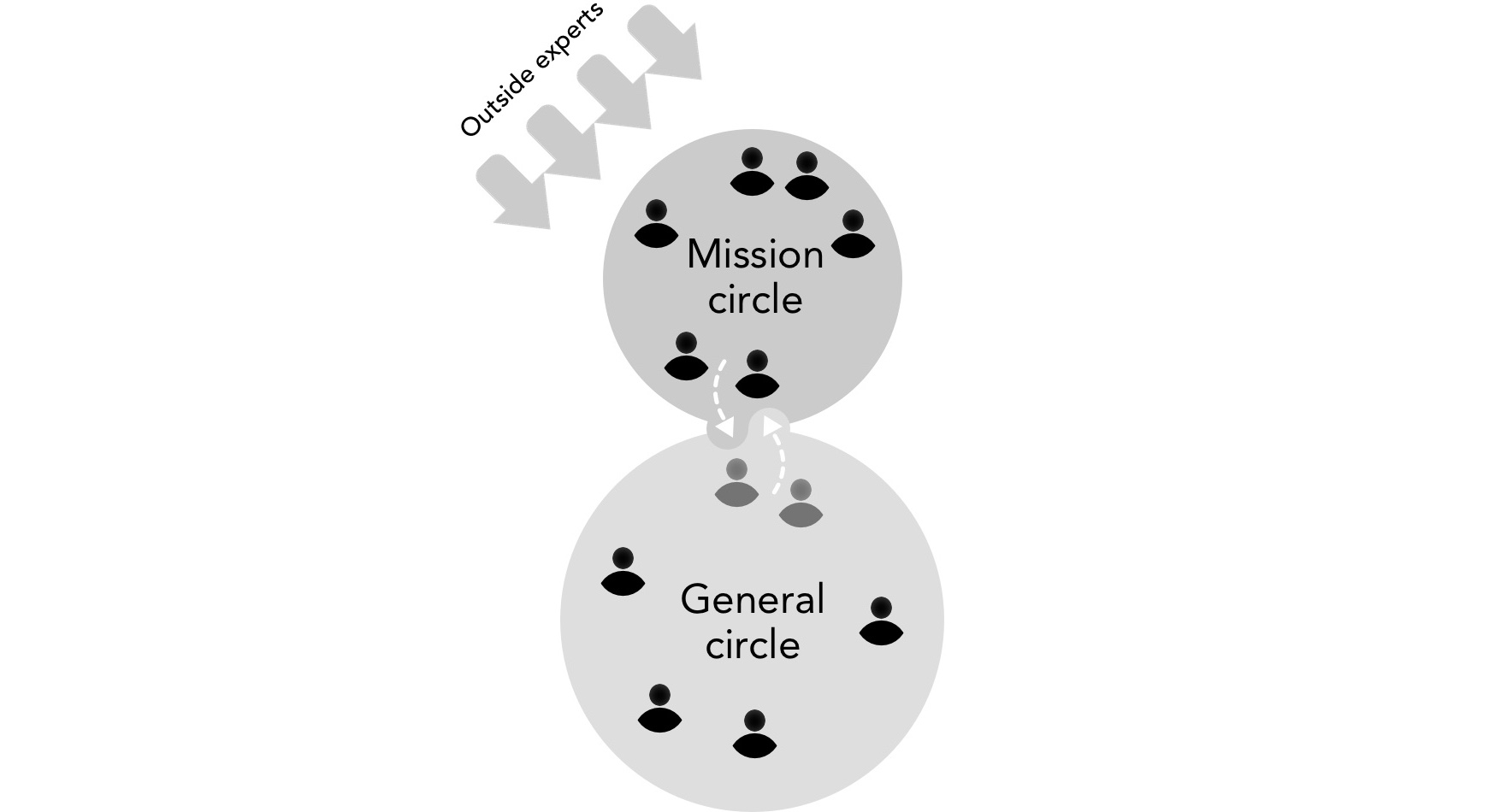 Early life of a young organization starting with one work group II