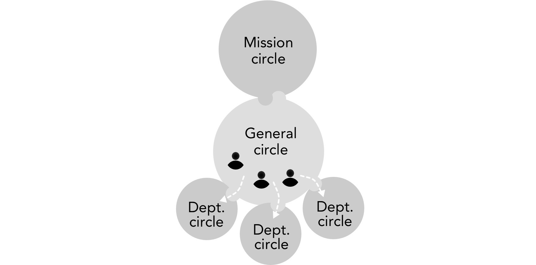 Early life cycle of a young organization starting from a mission circle