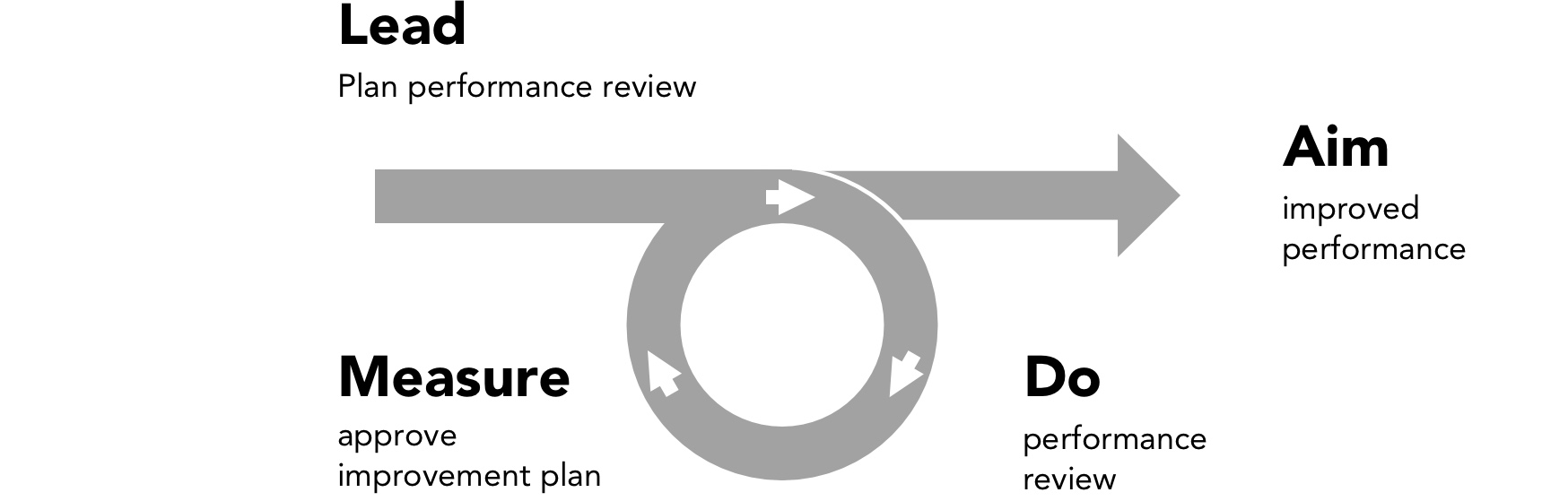 Lead–do–measure for performance review